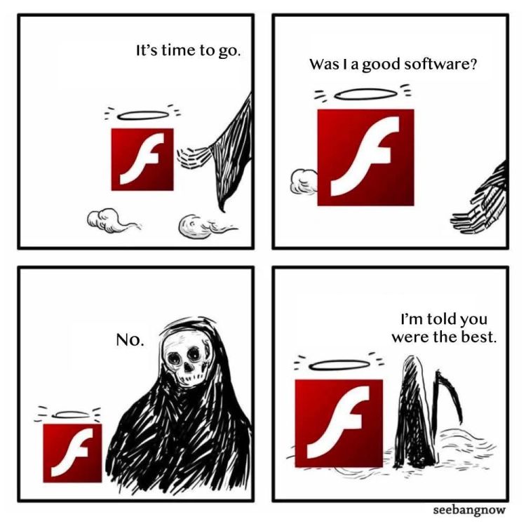 Flash was the best software.