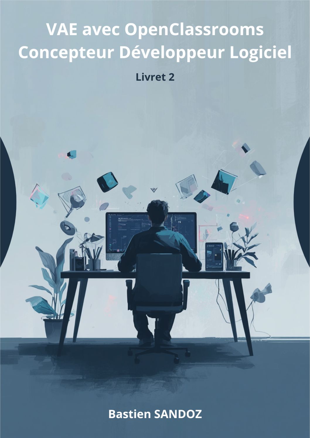 VAE : Développeur Concepteur Logiciel