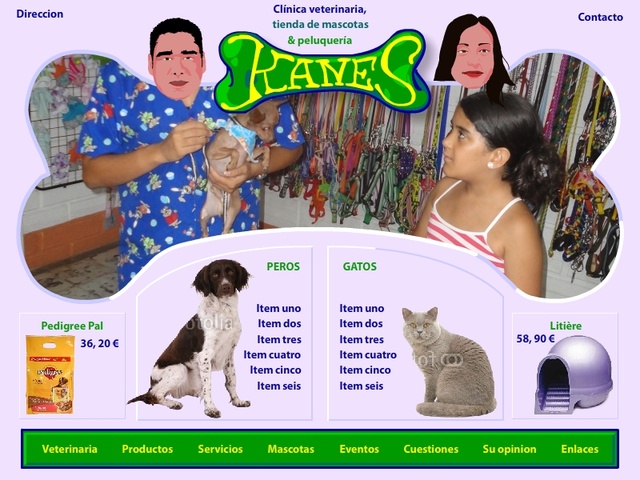 Design site Kanes 1