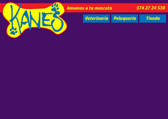Design site Kanes 2