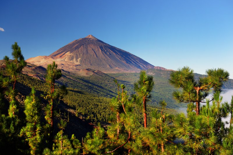 Une Propriété à Tenerife